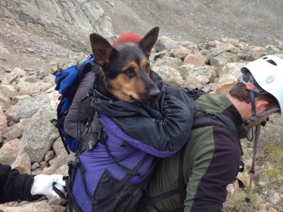 Photograph of the rescue posted by user SolarAlex on 14ers.com