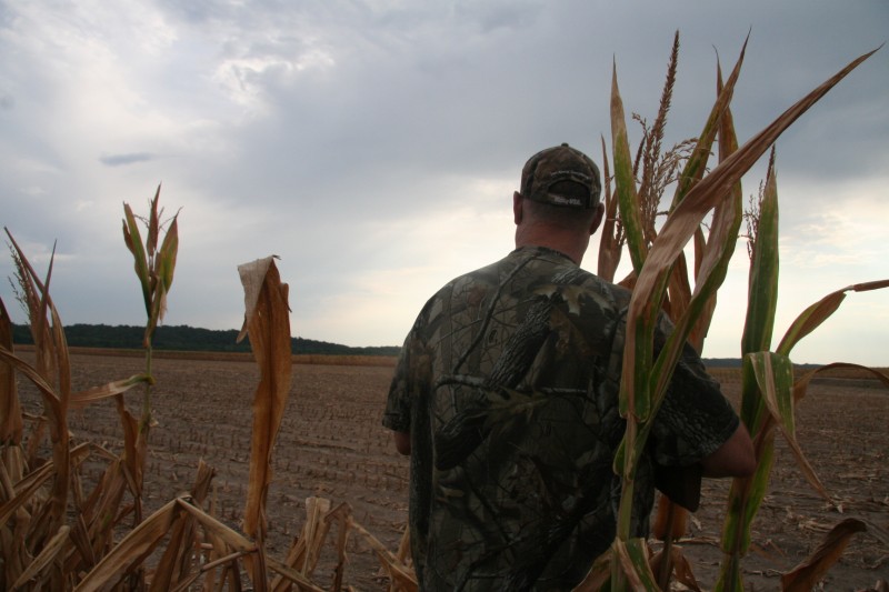 Preparing for dove hunting season