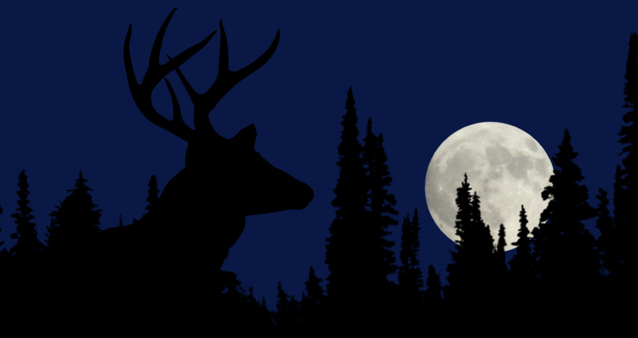 full moon buck