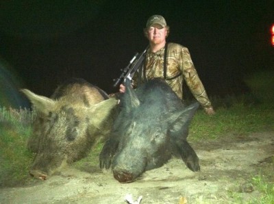 hog hunting