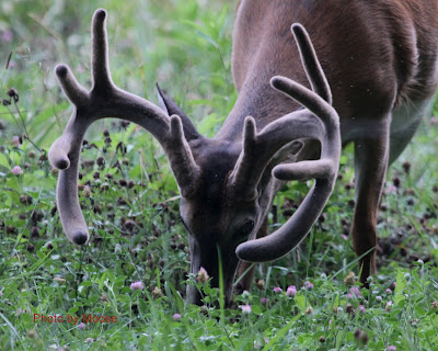 rack1