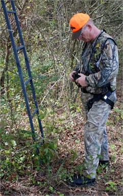 tree safety
