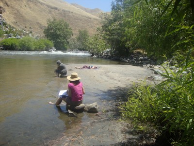 Writing on the river