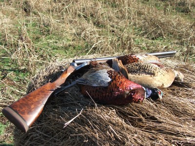 The Fox A grade in this photo was purchased off the web for $490 with a broken stock. I paid $400 to replace the stock and later sold the Fox for $1,850.