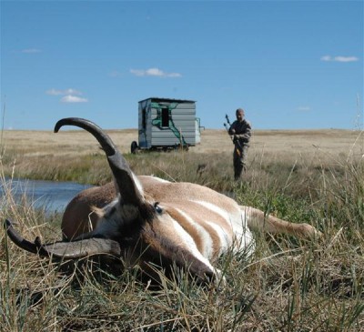 My ground blind stands out from a long way off, but was placed far enough in advance of my hunt that the pronghorn became accustomed to it.