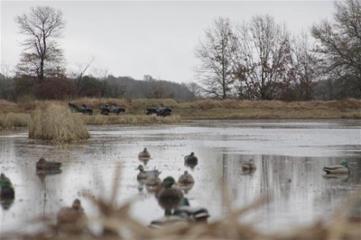 Use your Yamaha wheels to help set that perfect decoy spread.