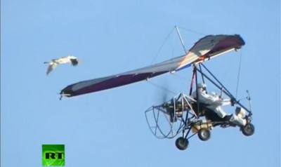 flying putin
