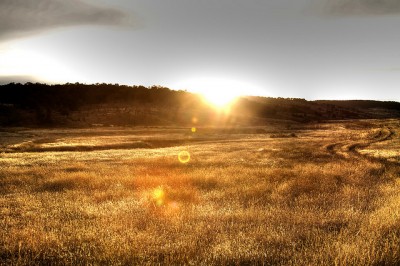hunting land