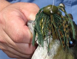 A big, heavy jigs gets to bottom quickly in fall and usually generates more strikes than a slow-falling bait.