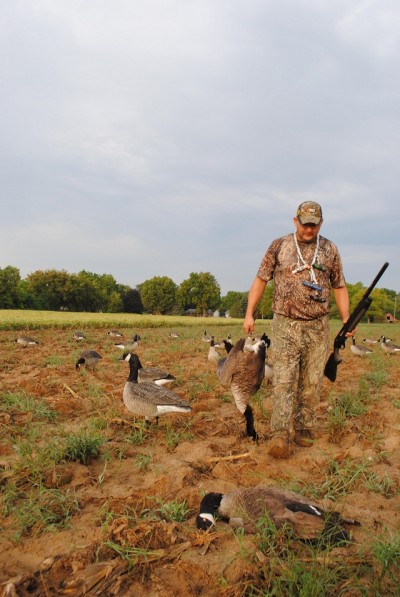 Joe Robison picks up geese taken in a picked sweet corn field in southeast Michigan.