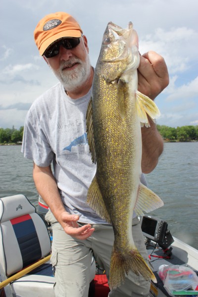 live bait walleye-1