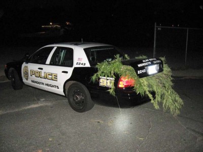 Mendota Heights police confiscate numerous marijuana plants from Valley View park. Photo courtesy of Mendota Heights Police Department.