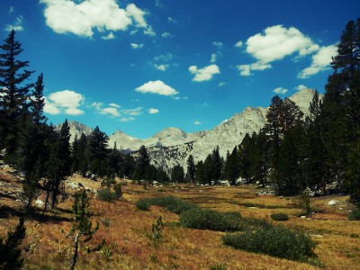 Meadow in Sequoia National Park looking west toward Milestone Mountain, near where the note was found.