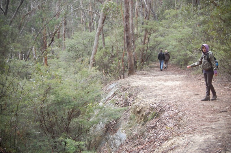 bushwalking destinations in new south wales