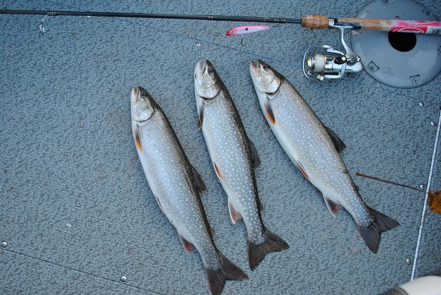A pink Rapala fooled these Copper Harbor splake.
