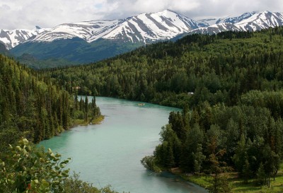 The Kenai River in the Kenai Peninsula, where the attack took place.