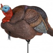 bestturkeydecoywhitebackground-300x200