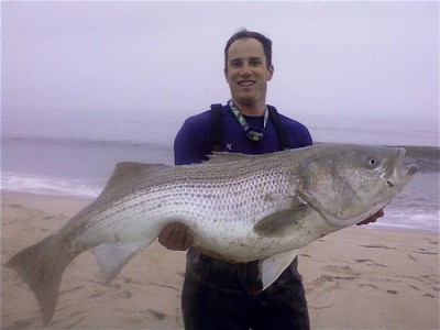 Will know, striped bass record new york with Opinion you striped bass record new york