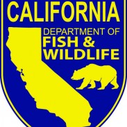 California Department of Fish and Wildlife