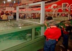internationa-sportsman-show