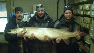 State_record_muskie_Oct_2012_401825_7