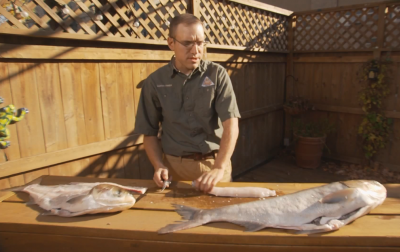 asian carp fillet