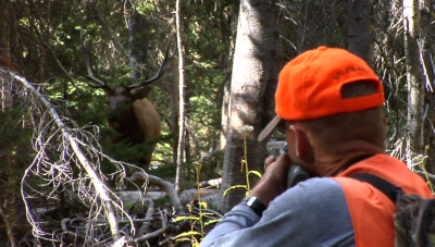 elk hunt close