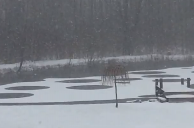 ice circles