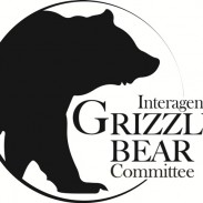 igbc logo
