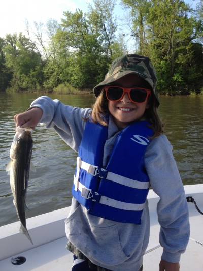 My daughter Alexandra and the rest of the family recently took a great fishing trip on the Roanoke River in North Carolina in search of striped bass.