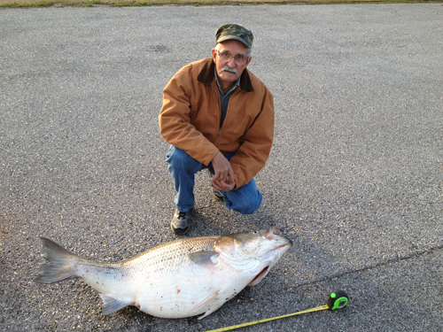 James Bramlett measures his world record striped bass.
