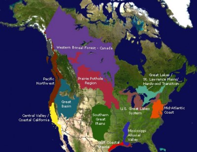 The Prairie Pothole Region is considered by many to be the most valuable source of waterfowl habitat in North America.