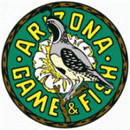 SX Arizona GFD