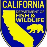 SX California DFW
