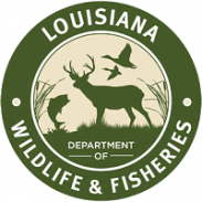 SX Louisiana DWF