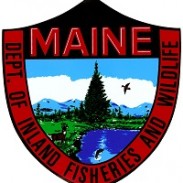 SX Maine DIFW