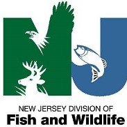 SX New Jersey Fish and Wildlife