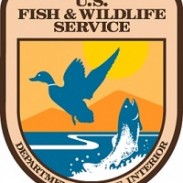 SX US Fish and Wildlife Service USFWS