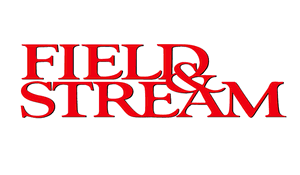 Field__Stream