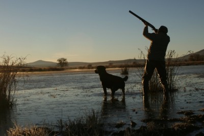 Every hunter should continue training their dog through the off-season to keep him or her sharp.