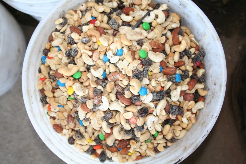 In areas with little competition, a large amount of quality bait such as a mixture of pastries, trail mix, and meat will keep the bears coming back even though it is only replenished every few days.