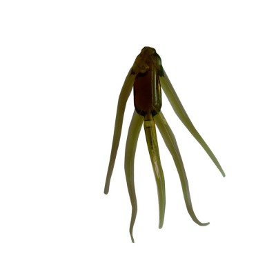 Maki plastics have been added to the Clam pro tackle collection.