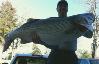 Rodney Ply with his striped bass.