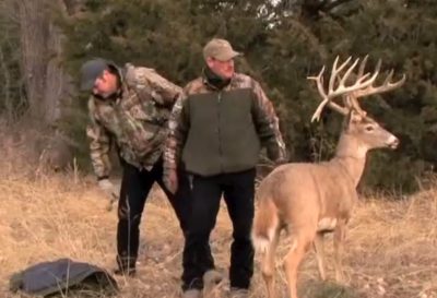 Game conservation officers often use regular or robotic decoys to catch poachers in the act.