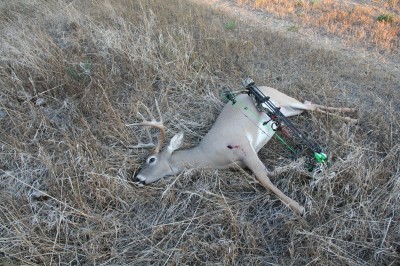 The author shot this nice 10-point buck on the third day of archery season in 2012. Being in the right place at the right time is a result of effective scouting.