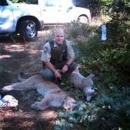 Quick-thinking and honesty has left two hunters with the story of a lifetime, and two cougars.