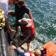 Biologists take time away from retrieving samples to lend a helping hand.