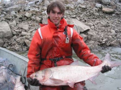 The discovery of breeding grass carp in the Lake Erie Basin might mean that bighead and silver carp are not far behind.