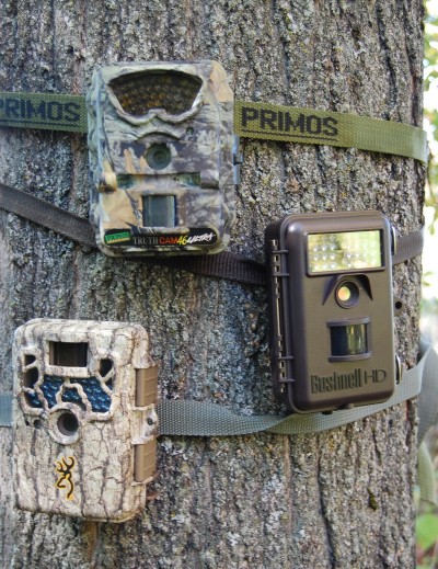 There are tons of great trail cameras available on the market today. Be sure to consider which specific features you're looking for before making a purchase.