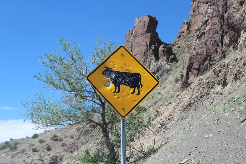 Sign shooting is unsafe, costly, and can be harmful to the image of outdoorsmen and women.